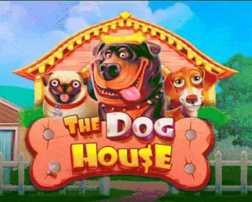 play the dog house in zebet casino
